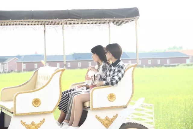馬車(chē)